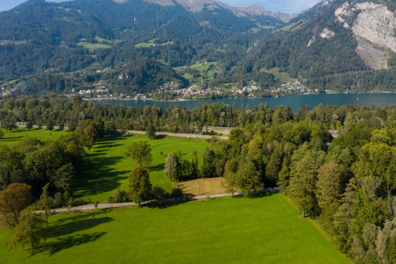 Wald- und Wiesenflächen am Walensee
